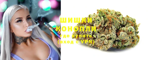 Альфа ПВП Каменка