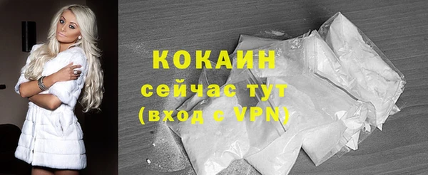 Альфа ПВП Каменка